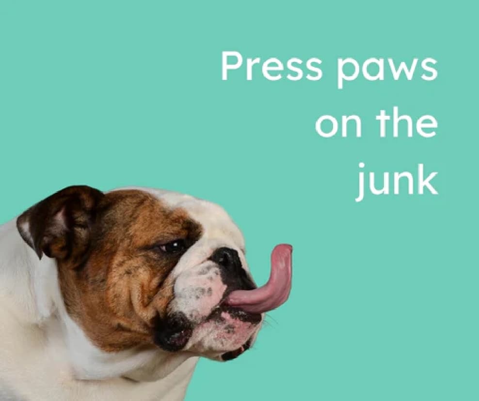 Press paws on the junk