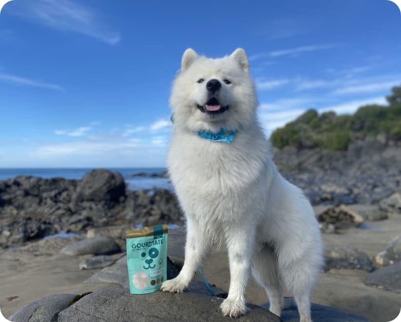 ブランドストーリー