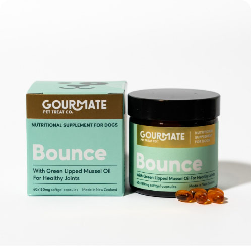 Bounce/バウンス<br>関節・脳機能サポート<br>＜ソフトカプセル＞