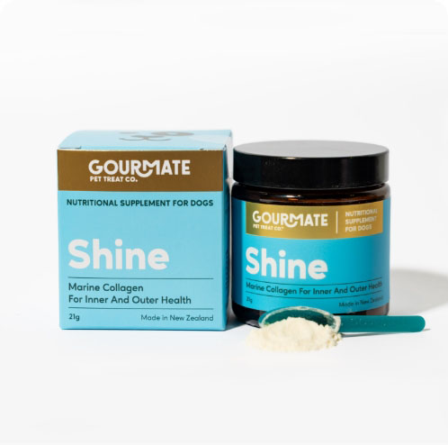 Shine/シャイン<br>皮膚・被毛・消化器サポート<br>＜パウダー＞