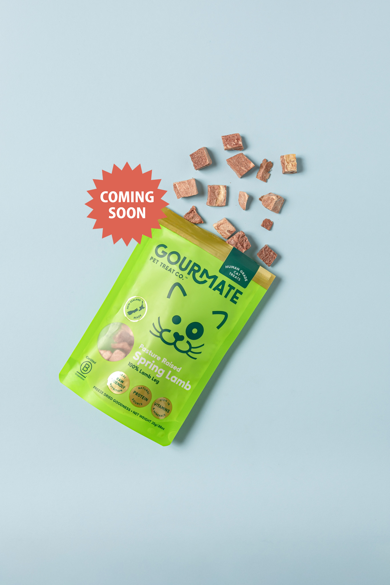 ミニ・スプリングラム