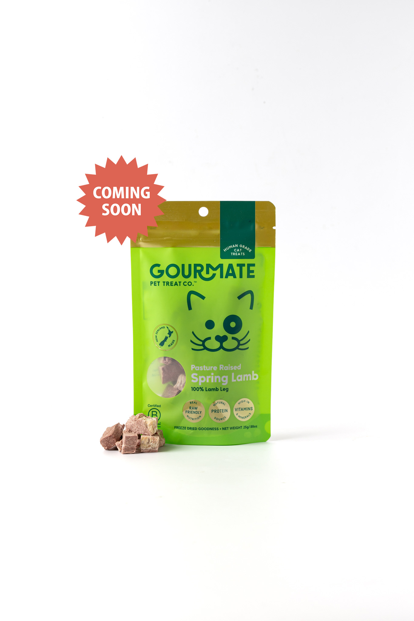 ミニ・スプリングラム