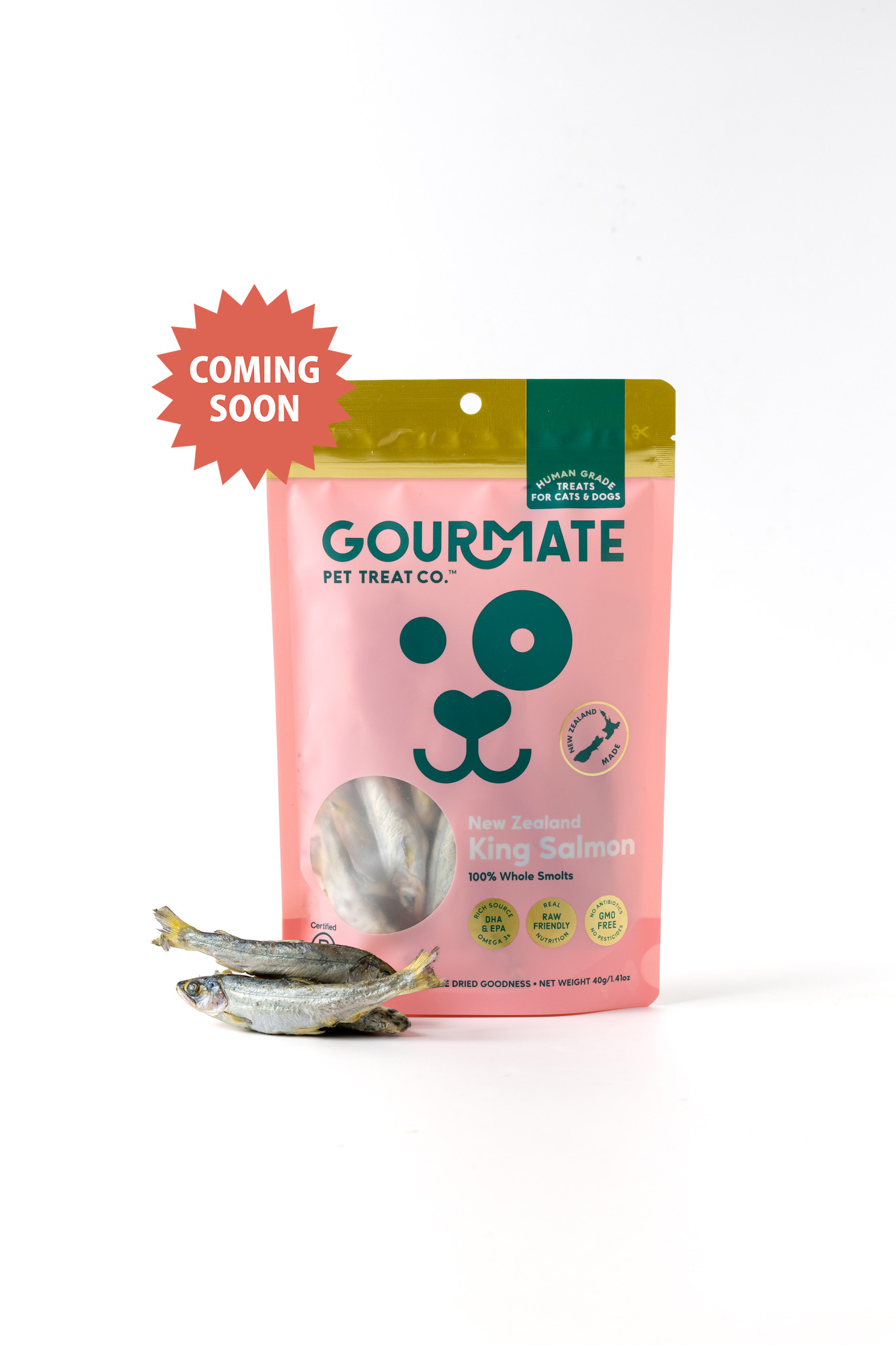 ベイビーキングサーモン